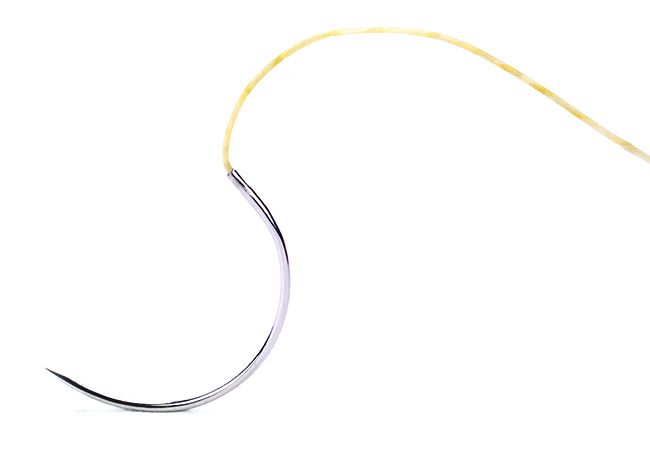 plain catgut veterinary suture